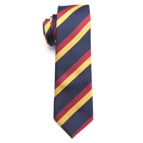 Classy Men Blue Red Yellow Skinny Tie