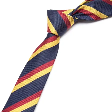 Classy Men Blue Red Yellow Skinny Tie