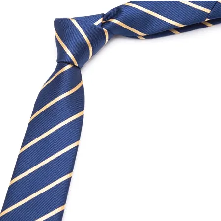 Classy Men Gold Striped Skinny Tie