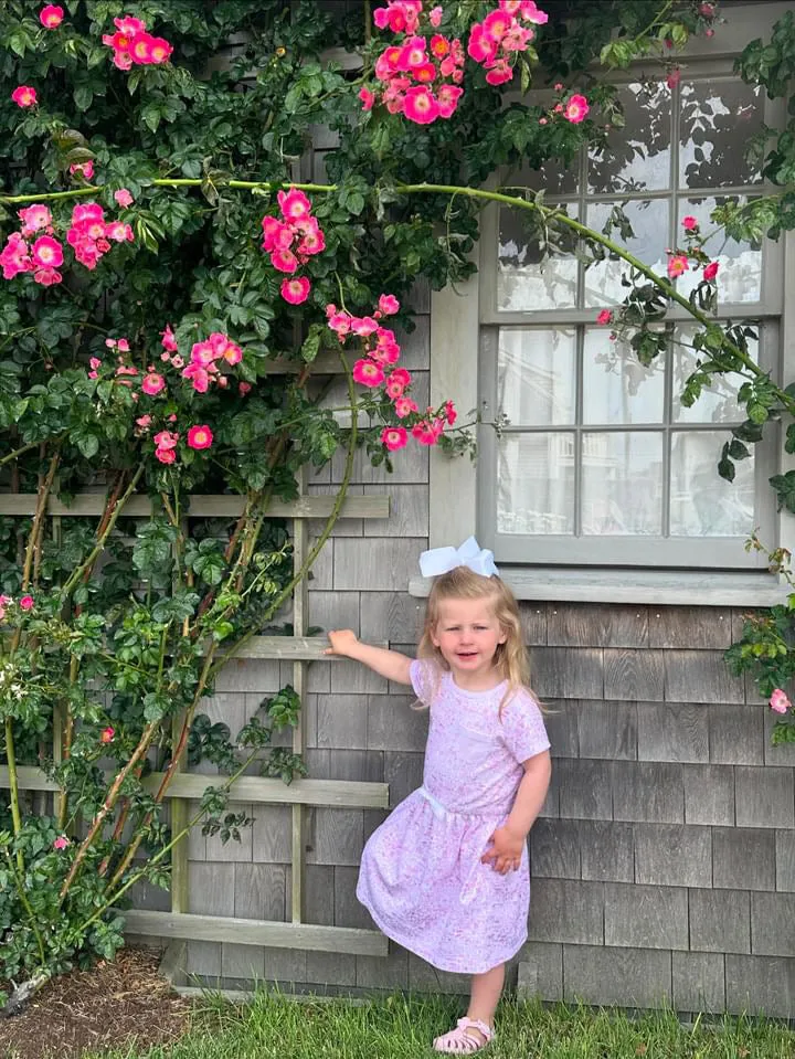 Nantucket Emery Play Dress