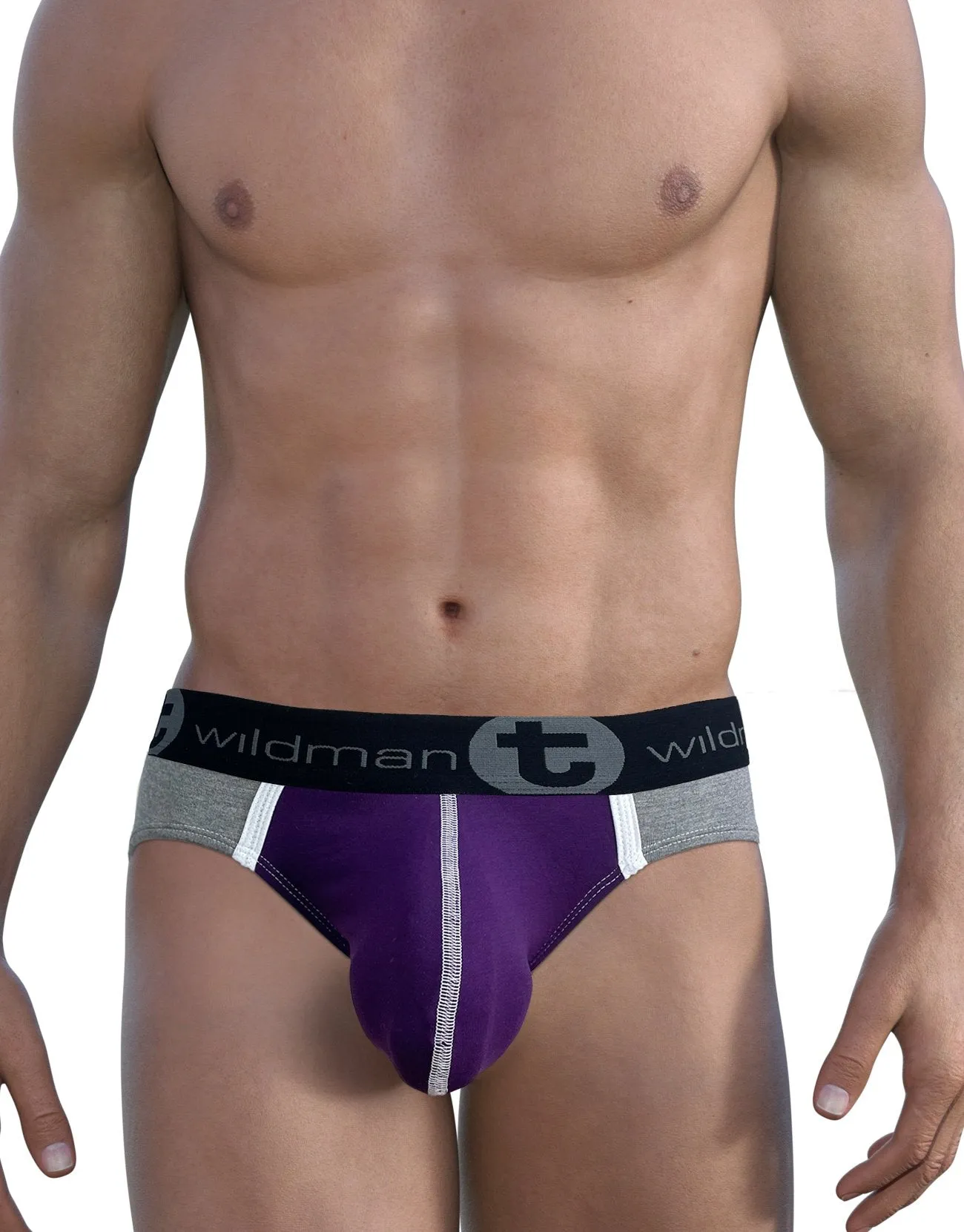 WildmanT Modal Big Boy Pouch Brief Purple